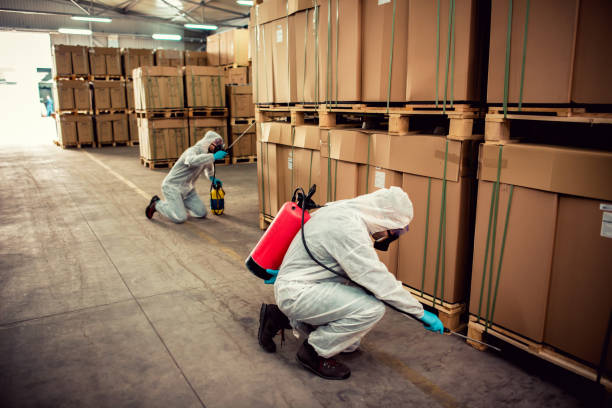 Best Cockroach Control Services  in Scottsburg, IN