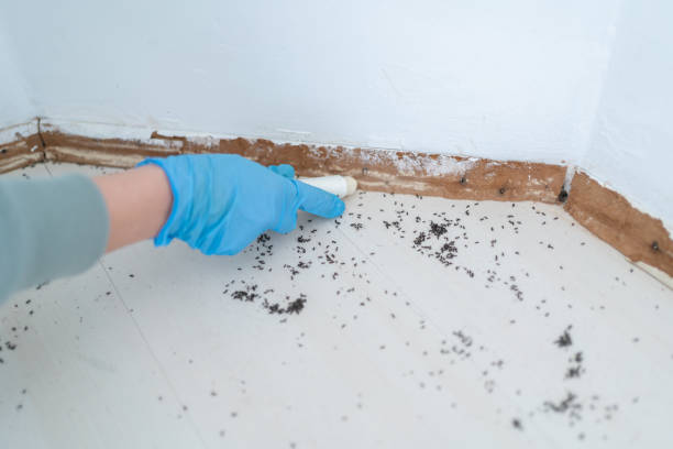Best Pest Control for Homes  in Scottsburg, IN